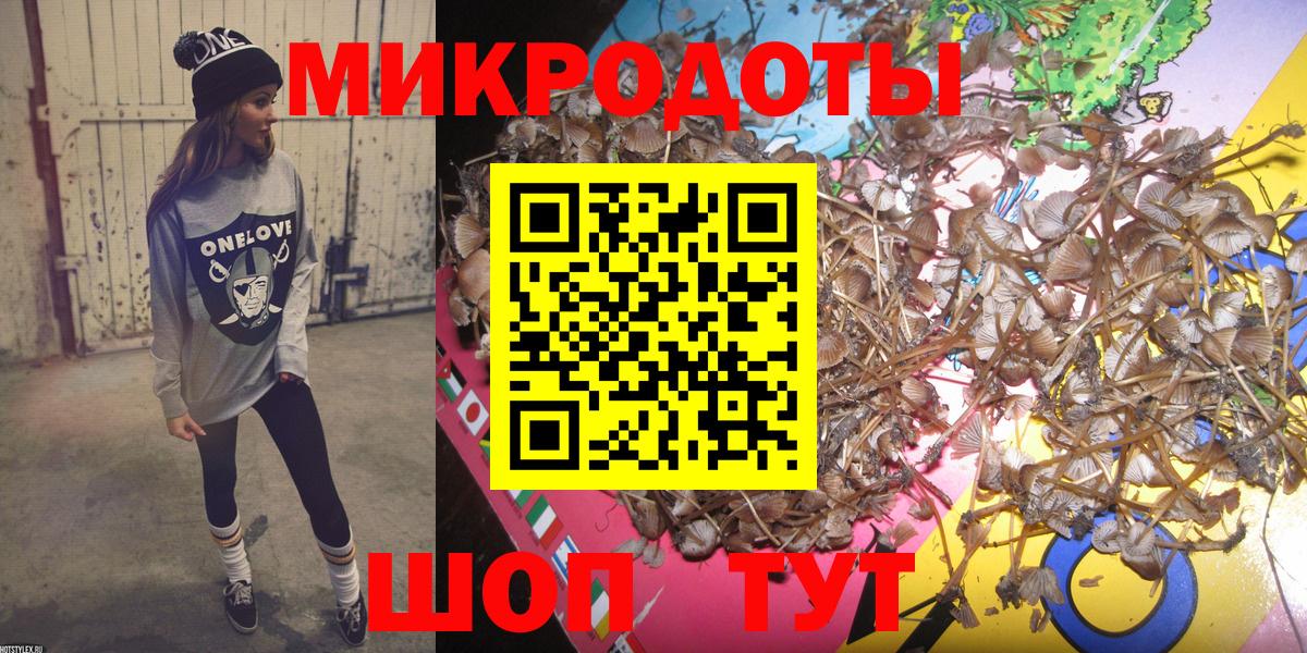 Псилоцибиновые грибы прущие грибы  Вход с VPN  Чусовой 